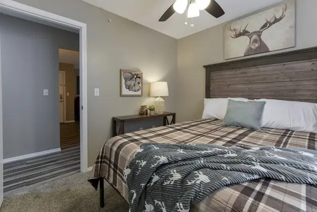 Daire (Serenity NOW **REMODELED - Pool - NO )
