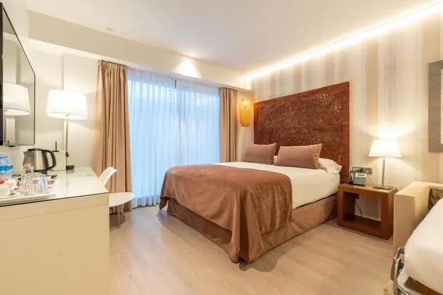 Superior Tek Büyük Yataklı Oda