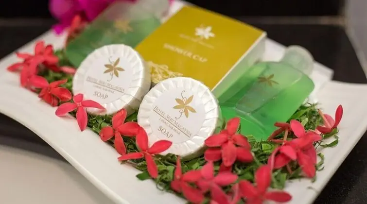 Standard Tek Büyük Yataklı Oda, 1 Çift Kişilik Yatak