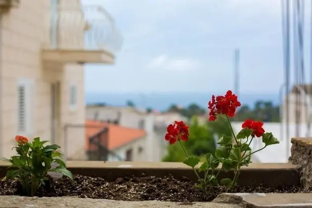 Apart Daire (One Bedroom Apt ,Shared Terrace)