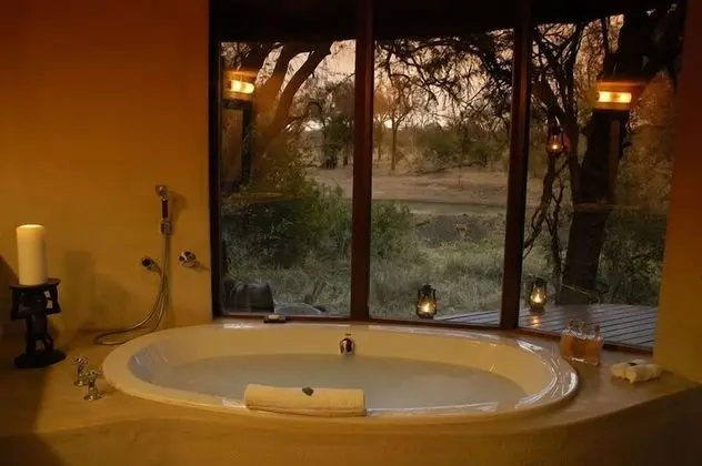 Süit