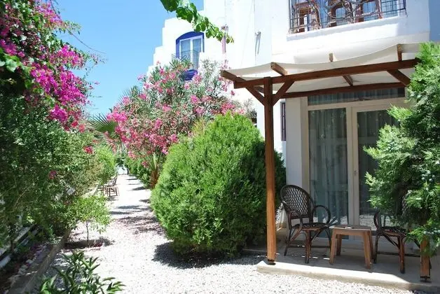 Standard Oda, Bahçe Manzaralı