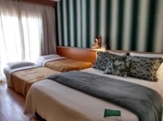 Deluxe Dört Kişilik Oda