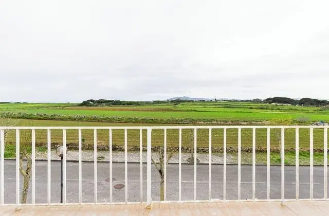 Tek Büyük Yataklı Oda, Teras, Dağ Manzaralı