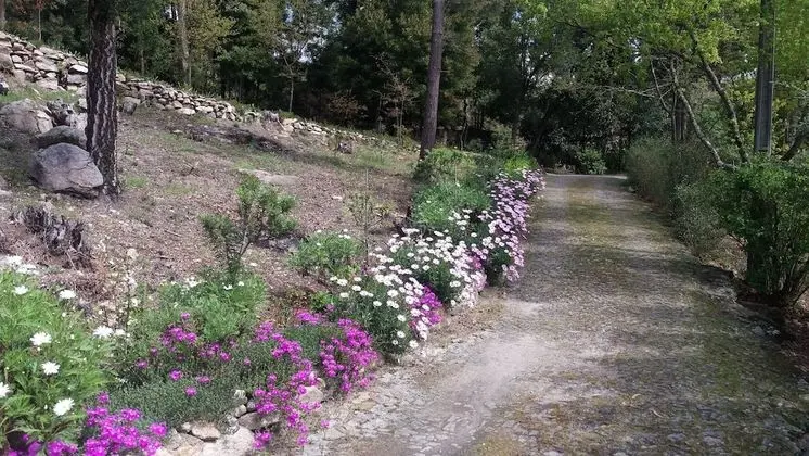 Kır Evi, 5 Yatak Odası