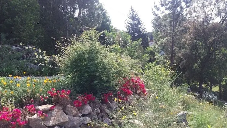 Kulübe, 1 Yatak Odası, Bahçe Manzaralı, Bahçeli