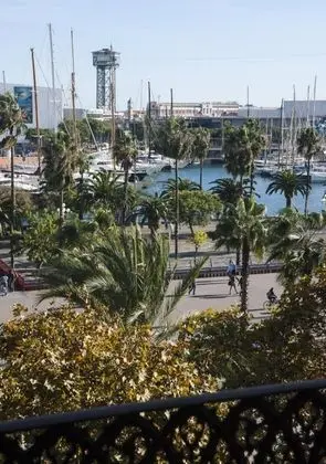 Süit (Mediterraneo)