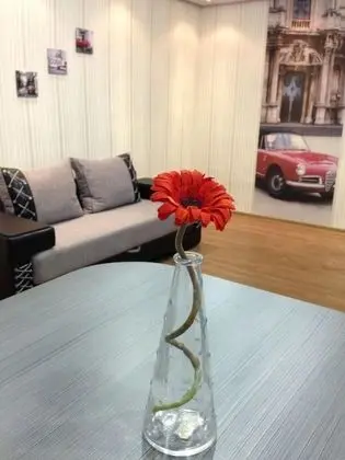 Apart Daire, 1 Yatak Odası (Krasnoarmeyskaya, 43)