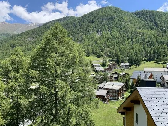 Comfort Stüdyo (No 11)