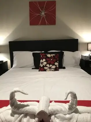 Premier Apart Daire, 1 Yatak Odası, Balkon