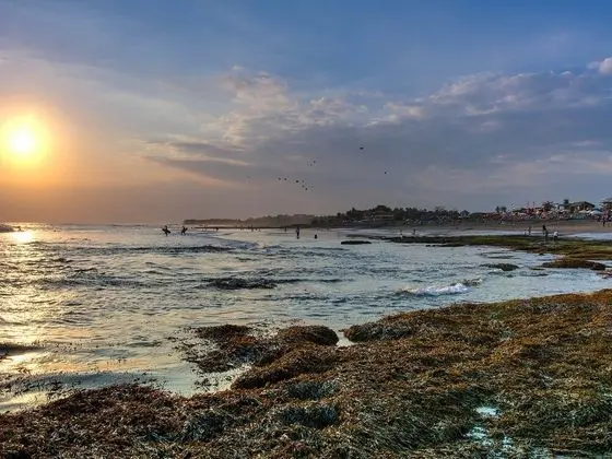 Villa, 6 Yatak Odası (Seseh Beach Villa II)