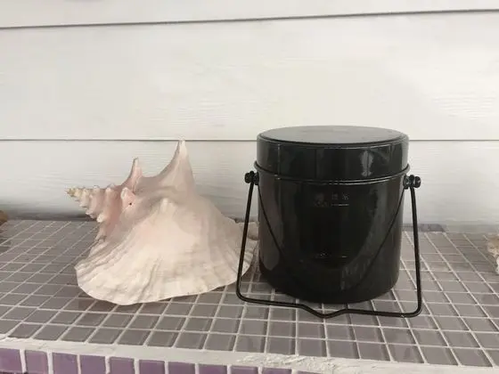 Ev