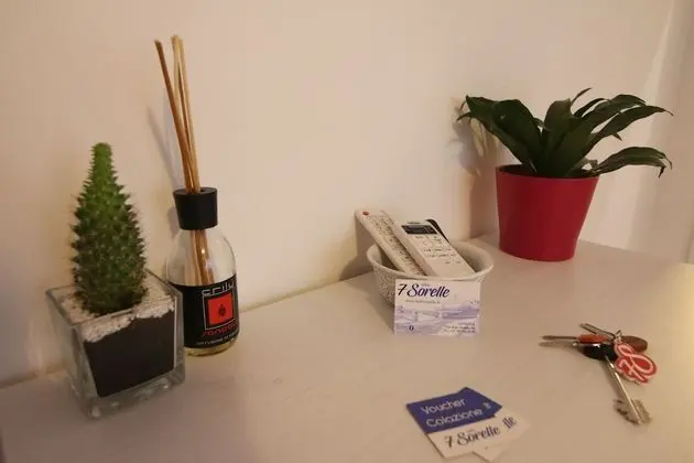 Classic Tek Büyük Yataklı Oda, 1 Büyük (Queen) Boy Yatak