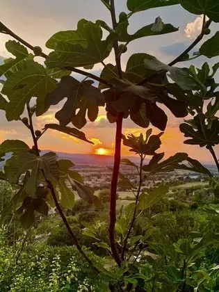 Comfort Apart Daire, 1 Yatak Odası, Tepe Manzaralı