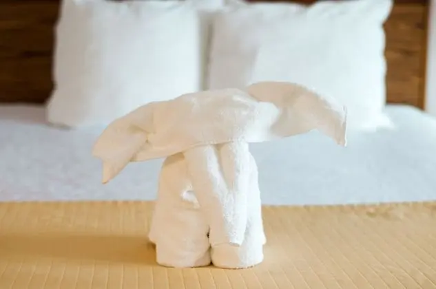 Standard Oda, 2 Büyük (Queen) Boy Yatak, Sigara İçilmez