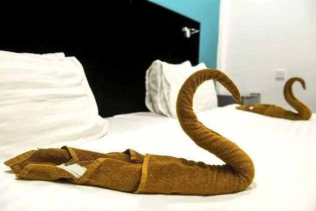 Deluxe Oda, 1 En Büyük (King) Boy Yatak