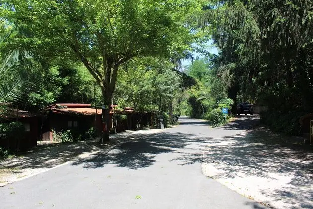 Bungalov Capacity 4