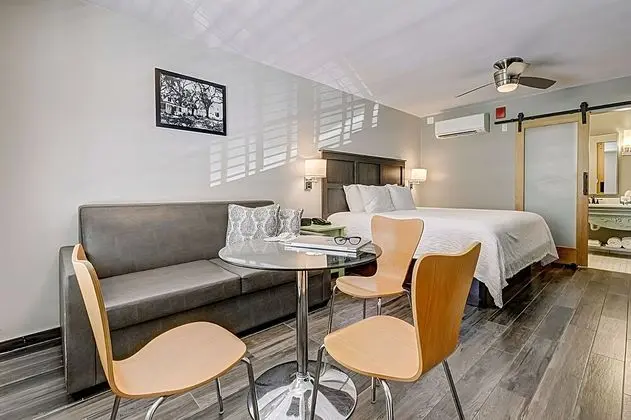 Standard Oda, 1 En Büyük (King) Boy Yatak ve Çekyat, Sigara İçilmez (1 Bedroom)