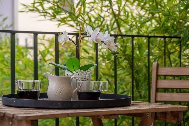 Deluxe Tek Büyük veya İki Ayrı Yataklı Oda, Balkon, Şehir Manzaralı (2)
