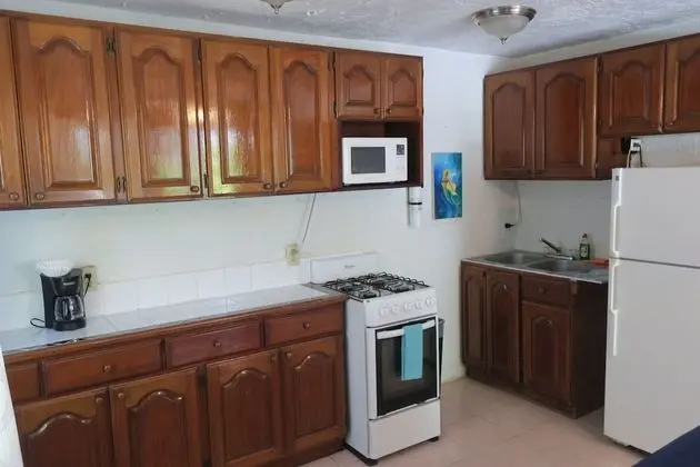 Luxury Daire, 1 Yatak Odası, Havuz Manzaralı, Bahçeli