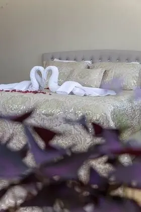 Honeymoon Tek Büyük Yataklı Oda