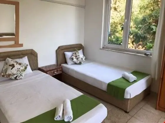 Standart Doğa Manzaralı