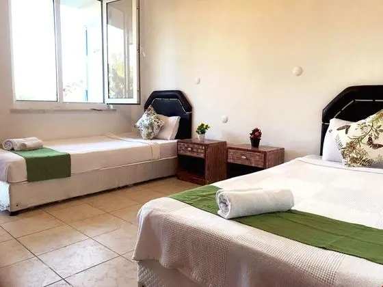 Standart Doğa Manzaralı