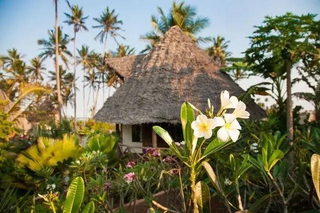 Garden View Bungalow