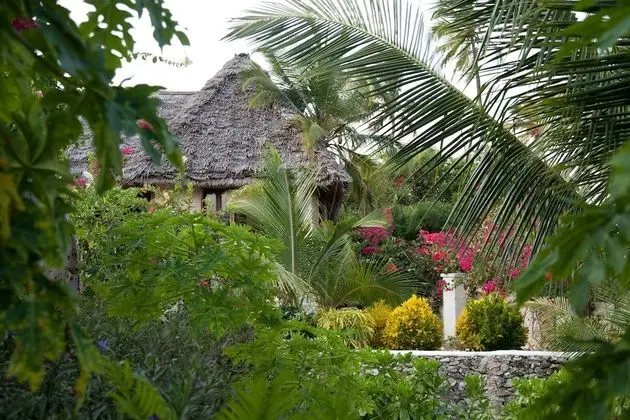 Garden View Bungalow