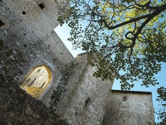 Süit