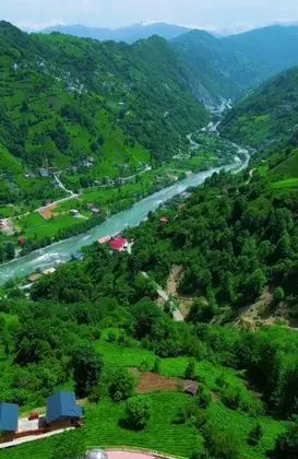 Jakuzili Bungalow , Dere ve Orman Manzaralı, Jakuzili ve Balkonlu