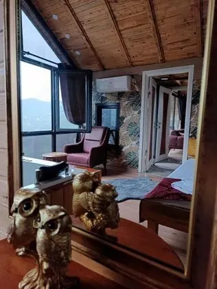 Jakuzili Bungalow , Dere ve Orman Manzaralı, Jakuzili ve Balkonlu