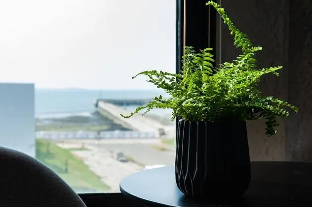 Comfort Tek Büyük Yataklı Oda, Küvet, Okyanus Manzaralı