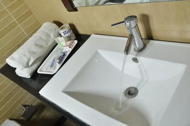 Deluxe Tek Büyük veya İki Ayrı Yataklı Oda