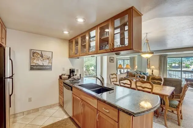 1 Bedroom Condominium