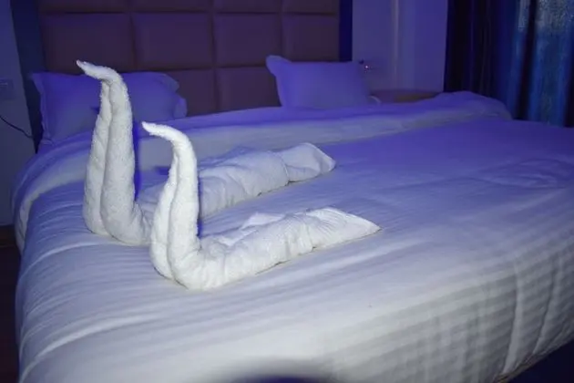Deluxe Oda, 1 Çift Kişilik Yatak, Sigara İçilebilir