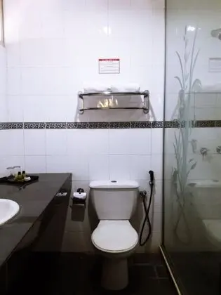 Deluxe Dağ Evi