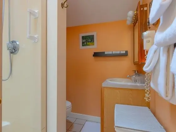 Family Süit, Özel Banyo (Rockwell - No Pets)