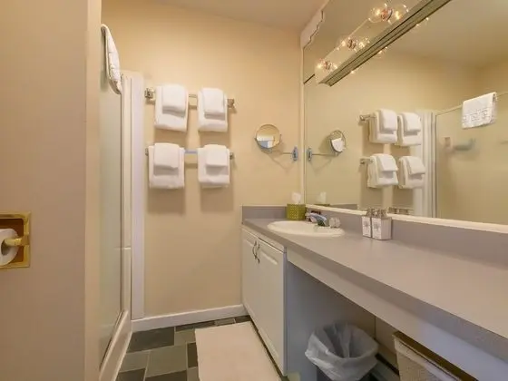 Standard Süit, Özel Banyo (Catamount - Pets Allowed)