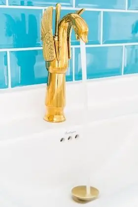 Superior Ev, Özel Banyo