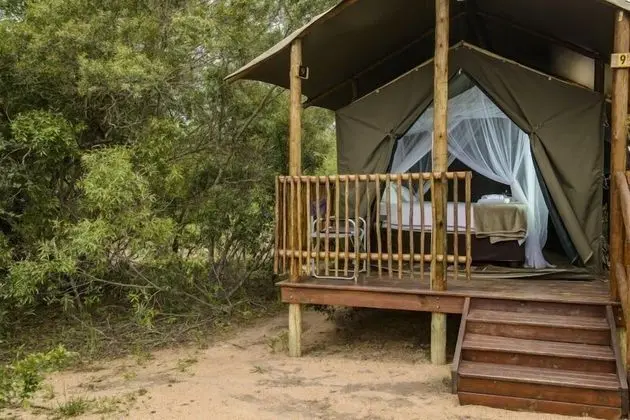 Luxury Çadır
