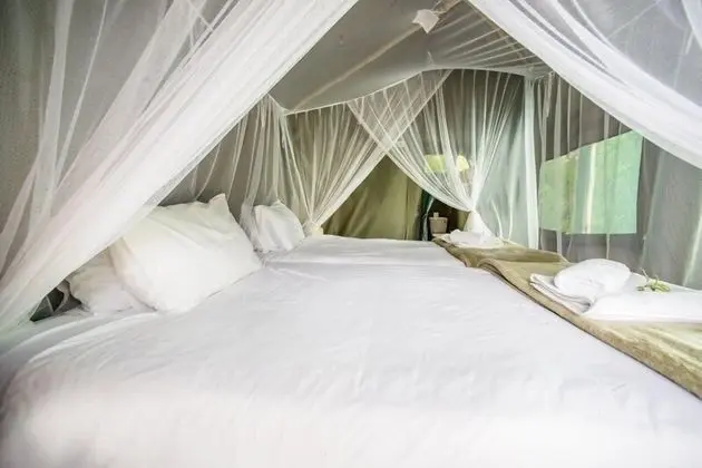 Luxury Çadır