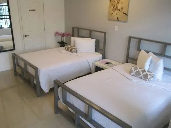 Deluxe Tek Büyük Yataklı Oda, 2 Çift Kişilik Yatak