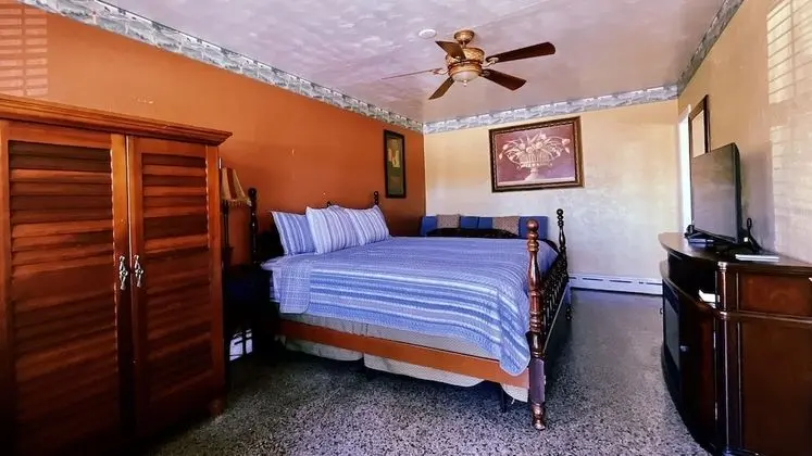 Deluxe Oda, 1 En Büyük (King) Boy Yatak, Sigara İçilmez