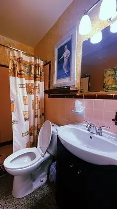 Deluxe Oda, 1 En Büyük (King) Boy Yatak, Sigara İçilmez