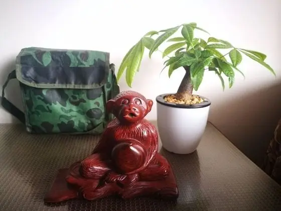 Deluxe Tek Büyük Yataklı Oda, 1 Büyük (Queen) Boy Yatak, Sigara İçilmez