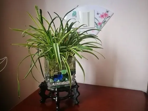 Deluxe Tek Büyük Yataklı Oda, 1 Büyük (Queen) Boy Yatak, Sigara İçilmez