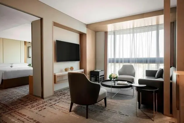 Executive Süit, 1 Çift Kişilik Yatak, Şehir Manzaralı