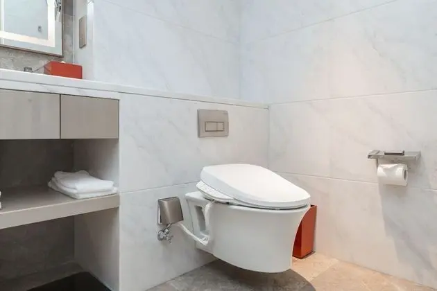 Executive Süit, 1 Çift Kişilik Yatak, Şehir Manzaralı