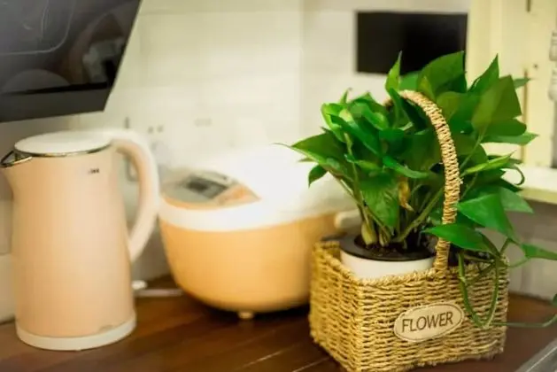 Deluxe Stüdyo, Sigara İçilmez